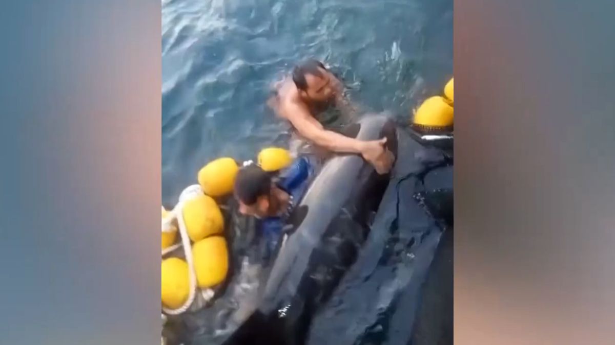 Rybáři zachránili velryby uvázlé v jejich sítích